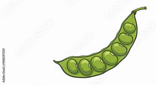 Detailed green pea illustration showing fresh peas inside open pod, natural texture visible. Green pea offers healthy ingredient for balanced diet, promoting wholesome nutrition.