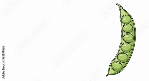 Fresh green pea pod illustration with visible round peas, isolated on white background. Tender pea pod signifies healthy vegetable ingredient, perfect for nutritious meals.