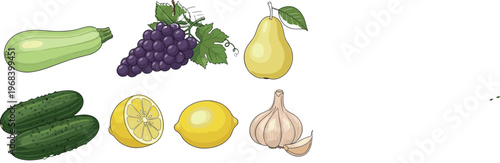 Fresh fruits and vegetables vector illustration set with zucchini grapes pear cucumber lemon and garlic healthy food collection design