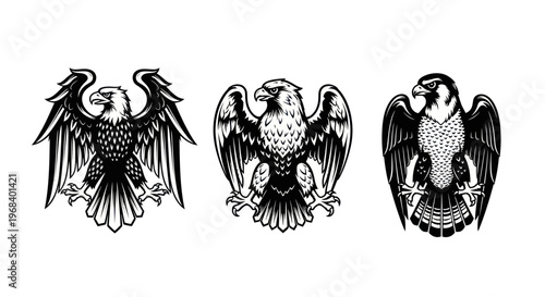Three eagle illustrations side by side.