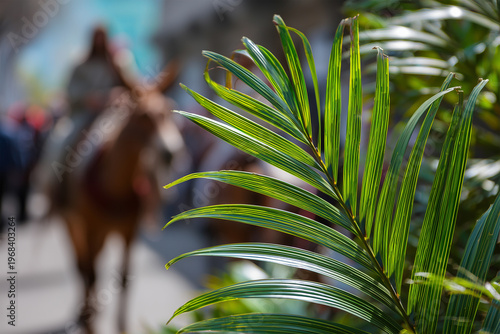 Jesus Christ Riding Donkey with Branch in Foreground, Blurred Background, Palm Sunday Religious Concept