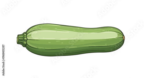 Vibrant Hand-Drawn Illustration of a Fresh Green Zucchini Vegetable on a Clean White Background