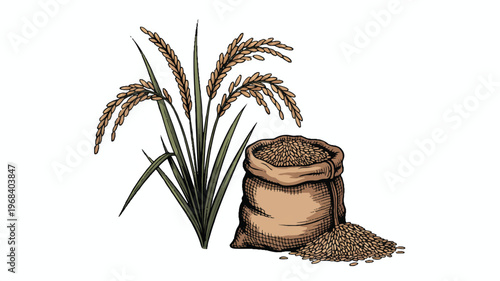 bag of rice grains with rice plant