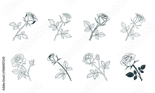 Black outline roses isolated on white background vector illustration.