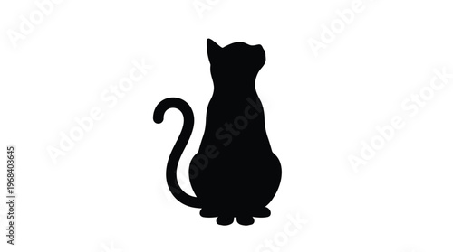 Black cat sitting and looking up with tail curved