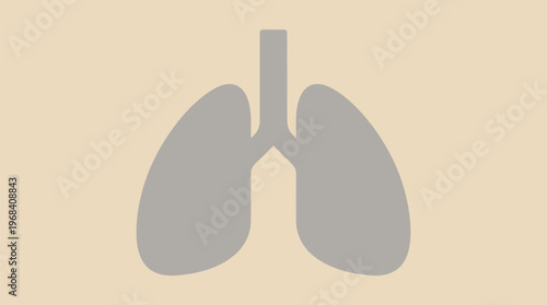 Human lungs and trachea in a simple vector graphic illustration