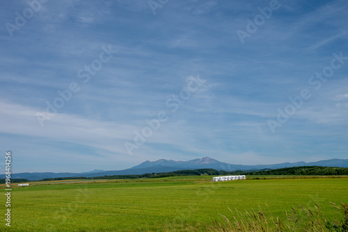 緑の草原と夏の山並み　大雪山
