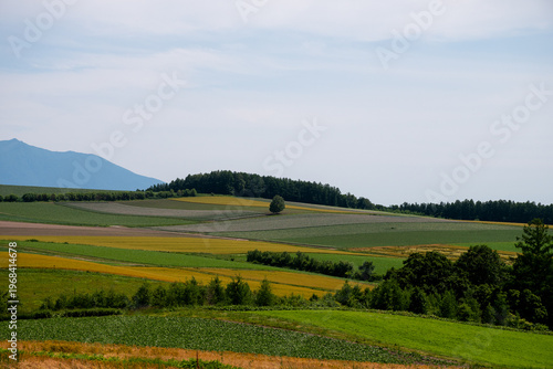 パッチワークのような丘陵畑作地帯
