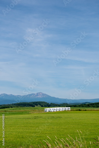緑の草原と夏の山並み　大雪山
