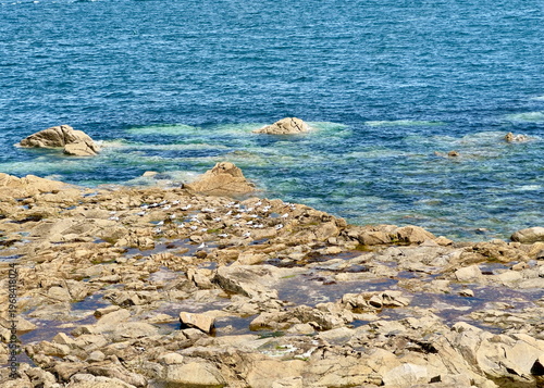 Calm bright day on rocky coast