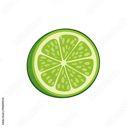 Fresh Green Lime Slice with Visible Seeds and Pulp Detailed Illustration
