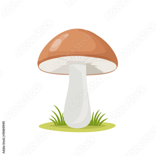 Brown capped mushroom with white stem and green grass illustration