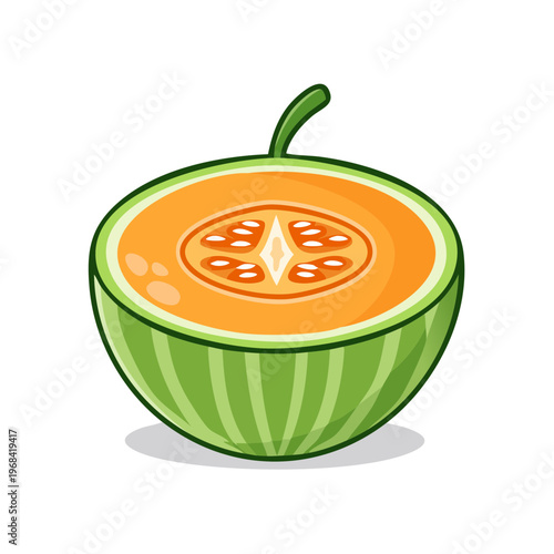 Freshly sliced cantaloupe melon revealing juicy orange pulp and seeds a healthy summer fruit illustration