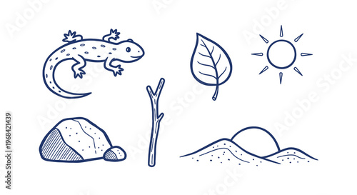 Cute Salamander Nature Set with Leaf Sun Rock Branch and Ground Hand Drawn Outline Illustration Collection