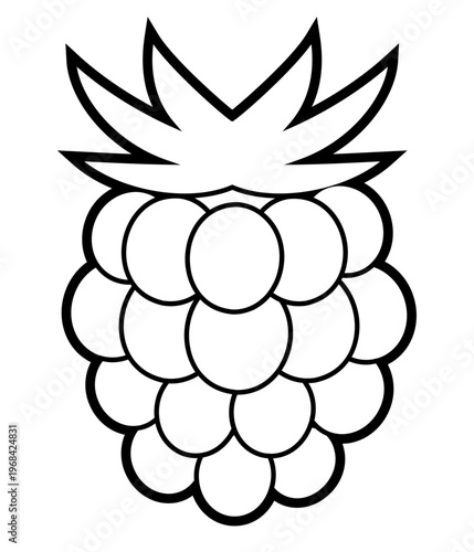 Raspberry Outline Vector, Black and White Line Art Berry