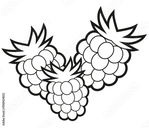 Raspberry Coloring Page Outline, Black and White Berry Illustration