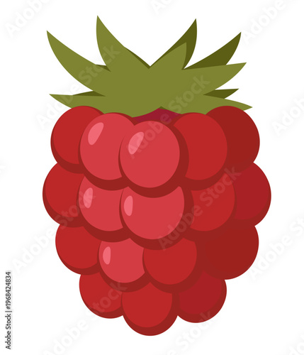Raspberry Flat Vector Illustration, Isolated Red Berry Fruit