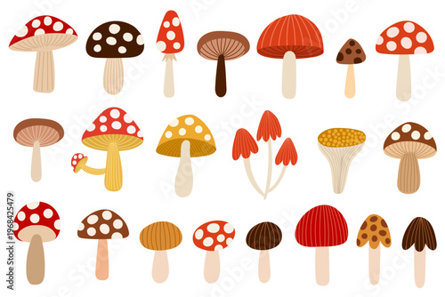 Doodle cute mushrooms in cartoon style collection. Hand drawn forest plants set. Wild mushrooms isolated on white background. Vector illustration