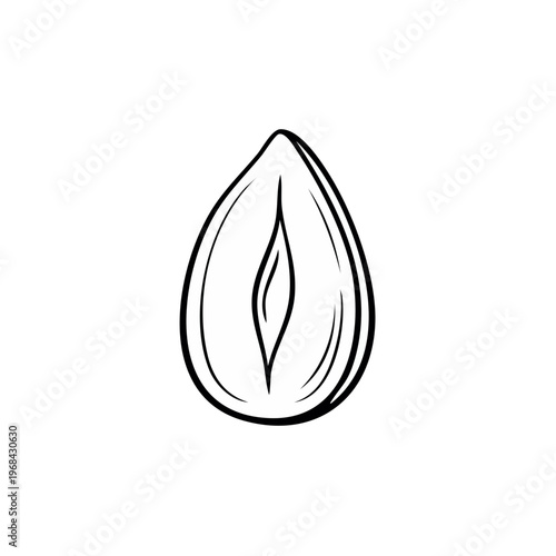 Hand Drawn Outline of a Single Almond Nut Seed Isolated on White