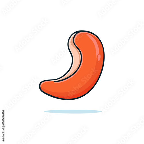 Single Orange Cashew Nut illustration with shadow and outline