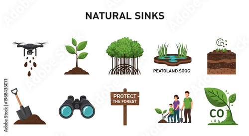 Natural Carbon Sinks Ecosystem Conservation.