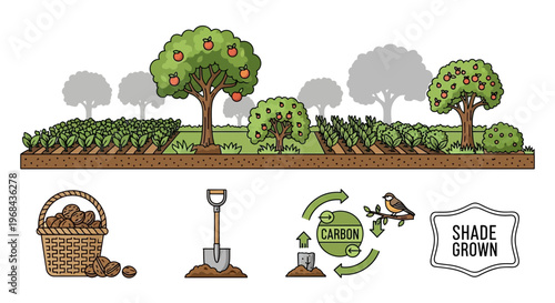 Shade grown farm with trees and plants.