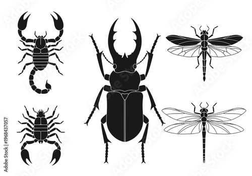 Set of black insect and arachnid silhouettes featuring a scorpion, stag beetle, and dragonfly icons on white background