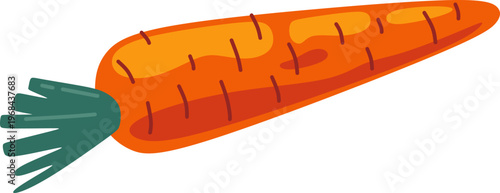 Fresh Carrot Illustration