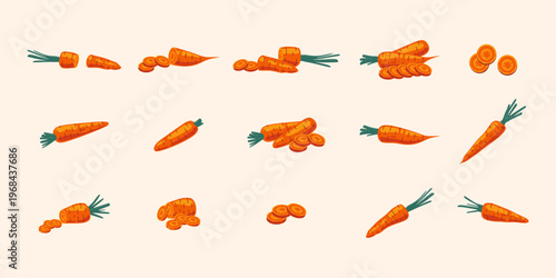 Fresh Carrot Illustration