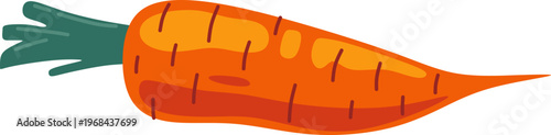 Fresh Carrot Illustration