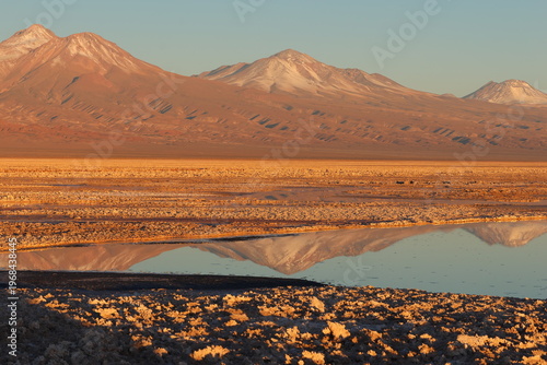 Laguna Chaxa Atacama Desert, Chile