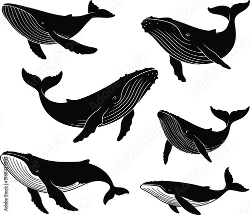 Photography Whale silhouettes set, humpback ocean animals swimming marine wildlife vector il