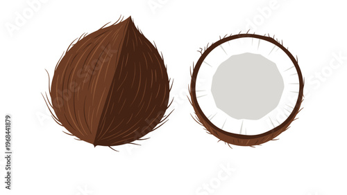 Whole brown hairy coconut positioned next to a half coconut showing its fresh white meat on a plain white background.