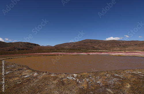 View of Laguna Amarilla, Chile