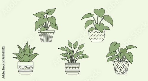 Illustration of five different potted houseplants in decorative pots.