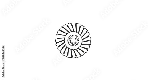 Nautilus Shell Spiral Fossil.