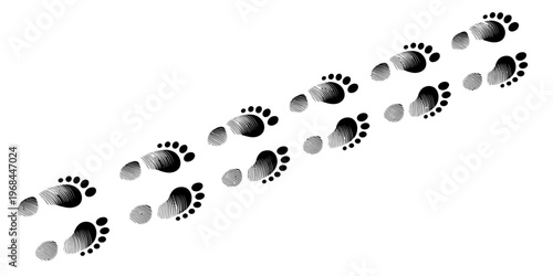 Series of animal paw prints arranged in a diagonal line pattern
