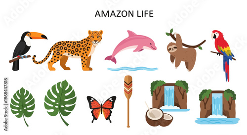 Amazon Rainforest Wildlife and Nature Icons.