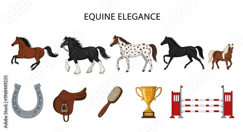 Modern Flat Illustration of  Elegant horses and equestrian equipment icons.