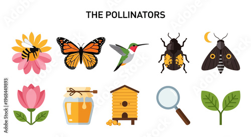 Insects and plants pollination ecosystem icons.