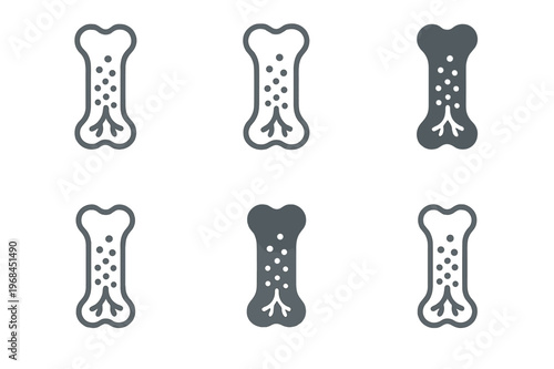 Bone Healing Icon Set. How bones heal after an injury. Icon set. Set Logo of How bones heal after an injury: bone with growth cells and vessels. harmonious