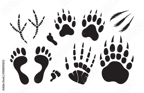 Various animal and human footprints on white background vector illustration for graphic design and art.