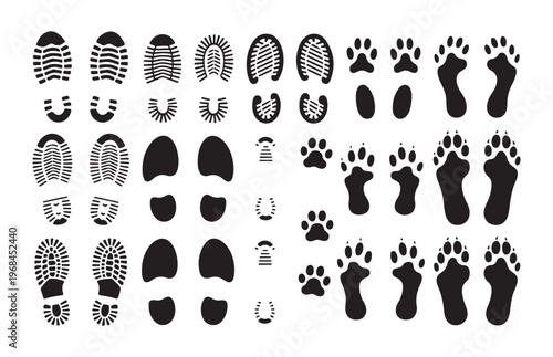 Extensive collection of human foot prints, human shoe prints, and various animal paw prints vector.
