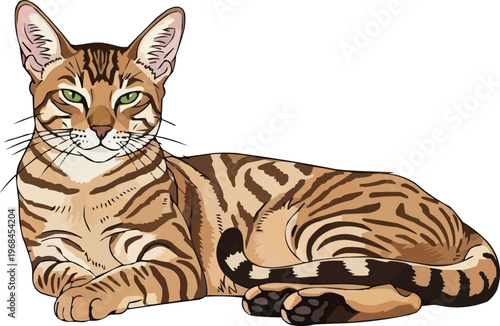 Arabian Mau cat lying down relaxed resting sideways illustration