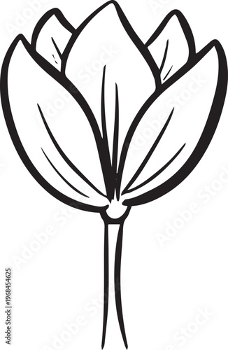 Simple floral flower heads wildflower outline clipart vector illustration