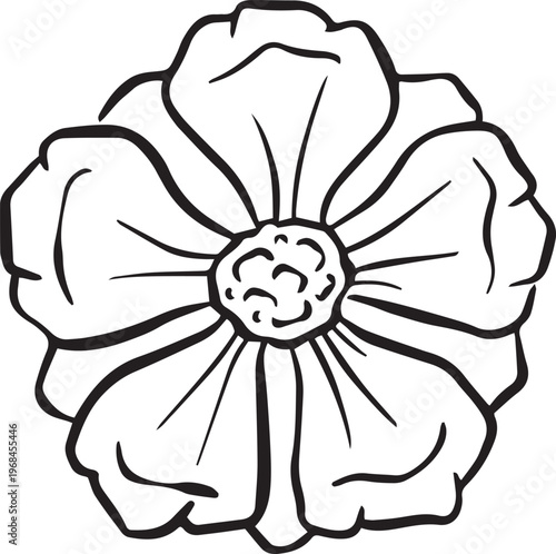 Simple floral flower heads wildflower outline clipart vector illustration