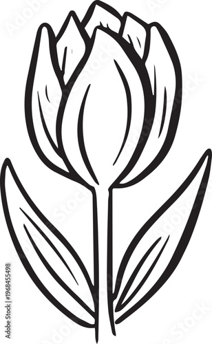 Simple floral flower heads wildflower outline clipart vector illustration