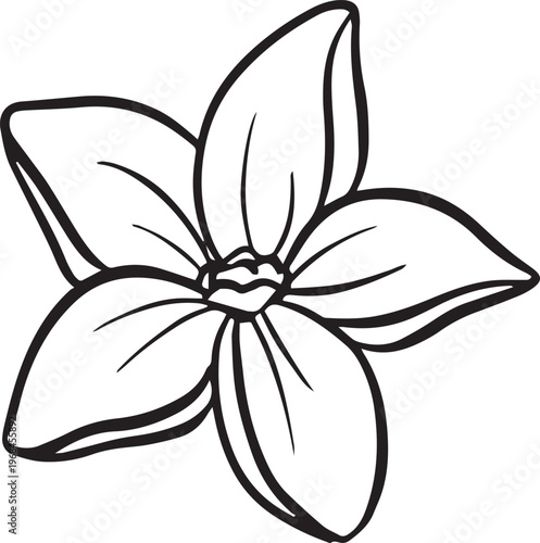 Simple floral flower heads wildflower outline clipart vector illustration