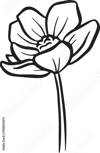 Simple floral flower heads wildflower outline clipart vector illustration