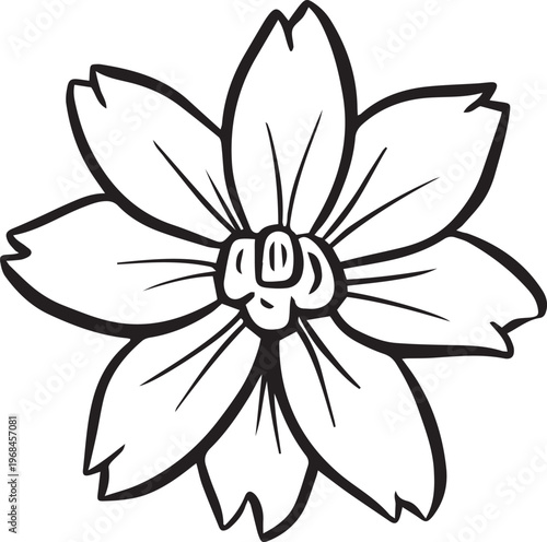 Simple floral flower heads wildflower outline clipart vector illustration